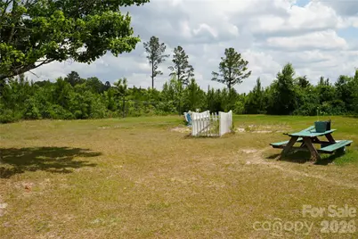 424 Press Walters Road, Hartsville, SC 29550 - Photo 2