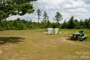 424 Press Walters Rd, Hartsville, SC 29550 - Photo 2