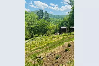 635/634 Little Horse Creek, Newland, NC 28657 - Photo 34
