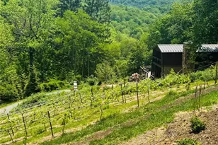 635/634 Little Horse Creek, Newland, NC 28657 - Photo 34