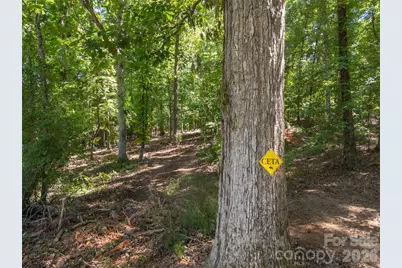 00 Green Fields Lane, Columbus, NC 28722 - Photo 6