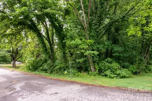 99 Maple Ave, Candler, NC 28715 - Photo 1