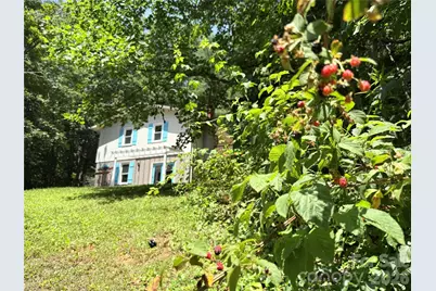 95 Walker Cove Road, Black Mountain, NC 28711 - Photo 42