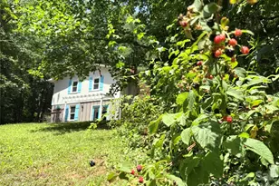 95 Walker Cv Rd, Black Mountain, NC 28711 - Photo 42