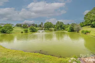 18 Ada's Way, Weaverville, NC 28787 - Photo 42