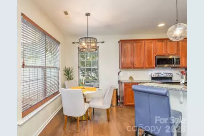10732 Trolley Run Drive, Cornelius, NC 28031 - Photo 16