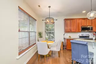 10732 Trolley Run Dr, Cornelius, NC 28031 - Photo 16