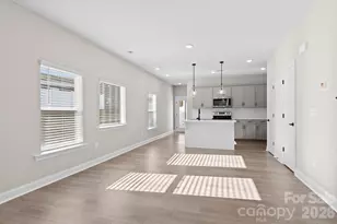 137 Cherry Spgs Ln, Asheville, NC 28804 - Photo 6