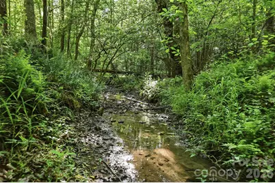 00 Black Oak Ridge Road, Taylorsville, NC 28681 - Photo 2