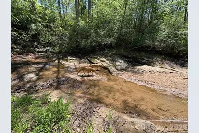 06 Hopewell Church Road #6, Hiddenite, NC 28636 - Photo 6