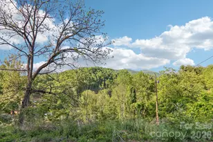137 Red Maple Ln, Burnsville, NC 28714 - Photo 40