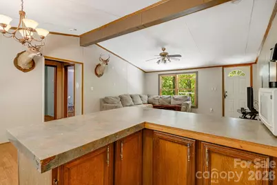 94 Long Ridge Road, Candler, NC 28715 - Photo 4