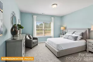 4239 Ruth Crk Ct, Charlotte, NC 28216 - Photo 20