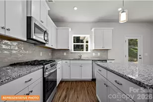 4239 Ruth Crk Ct, Charlotte, NC 28216 - Photo 10