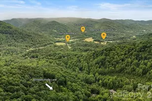 60 Hawks Pointe Ln, Weaverville, NC 28787 - Photo 46