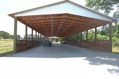 2121 Whitetail Road, Blackville, SC 29817 - Photo 6