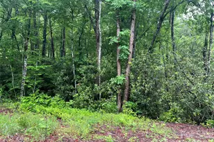 [Address not provided], Sylva, NC 28779 - Photo 1