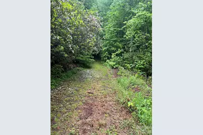 [Address not provided], Sylva, NC 28779 - Photo 2