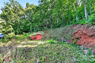 696 Hickory Nut Hollow, Old Fort, NC 28762 - Photo 48