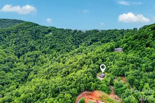 696 Hickory Nut Hollow, Old Fort, NC 28762 - Photo 44