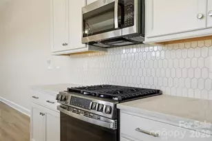 207 Patagonia Pl, Locust, NC 28097 - Photo 6