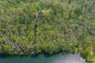 1971 Swiss Pine Lake Dr, Spruce Pine, NC 28777 - Photo 36