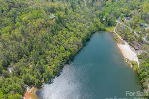 1971 Swiss Pine Lake Dr, Spruce Pine, NC 28777 - Photo 34