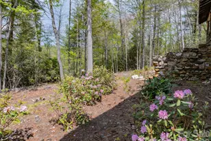 1971 Swiss Pine Lake Dr, Spruce Pine, NC 28777 - Photo 40