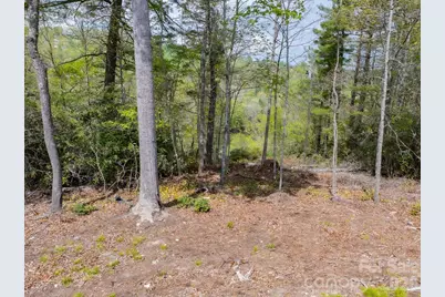 1971 Swiss Pine Lake Drive, Spruce Pine, NC 28777 - Photo 38