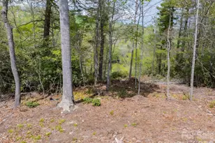 1971 Swiss Pine Lake Dr, Spruce Pine, NC 28777 - Photo 38