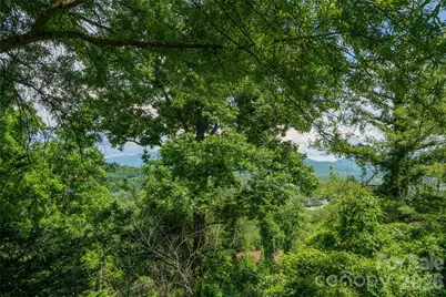 32 Delano Road, Asheville, NC 28805 - Photo 44