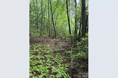 Lot 68 Cherrywood Lane, Pisgah Forest, NC 28768 - Photo 8