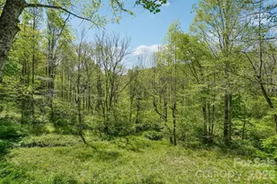 66 Pinto Trail, Sylva, NC 28779 - Photo 30