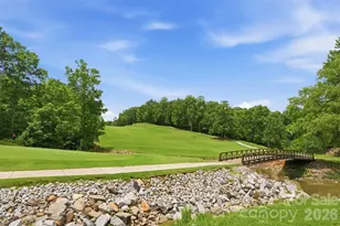 208 Tinkham Trail, Cramerton, NC 28032 - Photo 48