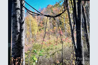 0 Prices Creek Road, Burnsville, NC 28714 - Photo 12