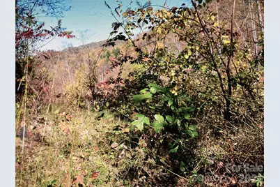 0 Prices Creek Road, Burnsville, NC 28714 - Photo 14