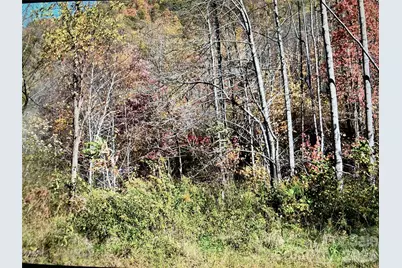 0 Prices Creek Road, Burnsville, NC 28714 - Photo 4