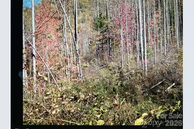 0 Prices Creek Road, Burnsville, NC 28714 - Photo 20
