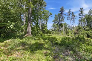 207 Wood Dale Dr, Hendersonville, NC 28791 - Photo 40
