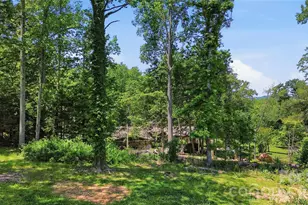 207 Wood Dale Dr, Hendersonville, NC 28791 - Photo 44
