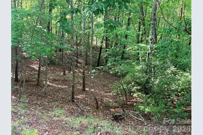 0 McDaniel Court, Lake Lure, NC 28746 - Photo 4
