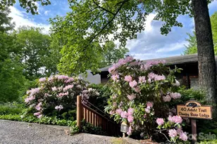 40 Adohi Trail, Maggie Valley, NC 28751 - Photo 16
