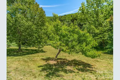 241 Pinners Cove Road, Asheville, NC 28803 - Photo 28