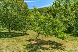 241 Pinners Cove Rd, Asheville, NC 28803 - Photo 28