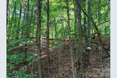 0000 Lakewood Drive, Lake Lure, NC 28746 - Photo 2