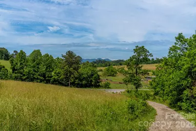 351 Mag Sluder Road, Alexander, NC 28701 - Photo 38