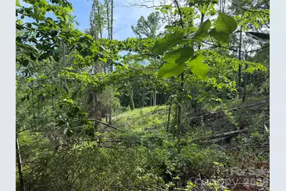 351 Mag Sluder Road, Alexander, NC 28701 - Photo 42