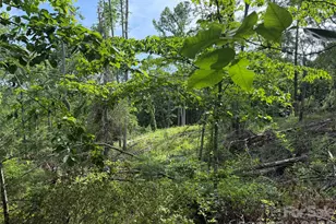351 Mag Sluder Rd, Alexander, NC 28701 - Photo 42