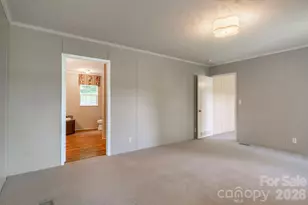 351 Mag Sluder Rd, Alexander, NC 28701 - Photo 10