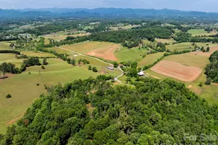 351 Mag Sluder Rd, Alexander, NC 28701 - Photo 46